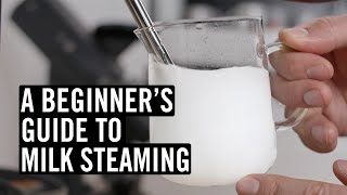 Everything You Need To Know To Steam Great Milk [upl. by Enenej]