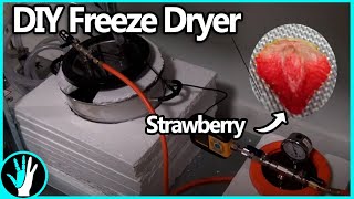 How to Build a Freeze Dryer [upl. by Bakemeier451]