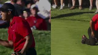 Tiger Woods Greatest Ever Nike Commercial [upl. by Barby988]