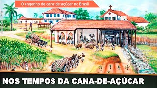 BRASIL NOS TEMPOS DA CANADEAÇÚCAR [upl. by Ardnuasac351]