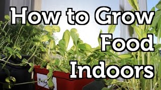 Setting up a Basic Indoor Grow Room [upl. by Ivonne446]