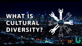 What is cultural diversity  Language Insight [upl. by Odnomra]