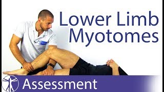 Myotomes Lower Limb  Peripheral Neurological Examination [upl. by Eatnom]