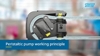 How do peristaltic pumps work Industrial  WMFTS [upl. by Lean]