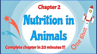 Class 7 Chapter 2 Nutrition in Animals OneShot  Complete chapter in 20 minutes   LearnFatafat [upl. by Aaberg]