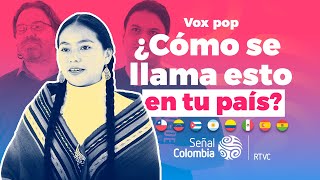 HISPANOHABLANTES discuten las diferencias del IDIOMA ESPAÑOL en cada país [upl. by Dnomde]