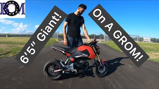 Honda Grom Tall Rider Review [upl. by Calen]