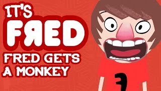 Fred Gets a Monkey  Its Fred [upl. by Eelatsyrc]