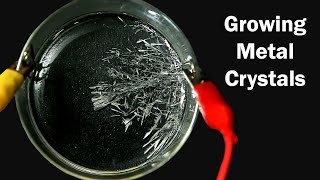 How to grow Tin Crystals [upl. by Oiled260]