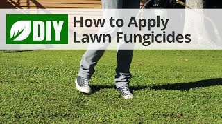 How to Use Lawn Fungicides For A Lawn Fungus Treatment [upl. by Ahsi358]