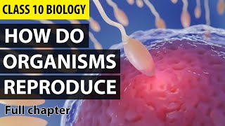 How Do Organisms Reproduce Class 10 Full Chapter Animation  Class 10 Science Chapter 8  NCERT [upl. by Gnes]