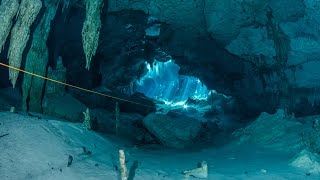 Cenote diving Dos Ojos Mexico [upl. by Hsiri]