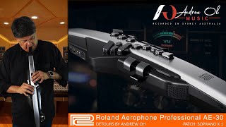 Andrew Oh  Aerophone Professional AE30  Saxophones Demonstration [upl. by Aicelef]