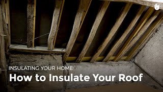 How to Insulate your Roof  Fuel Poverty [upl. by Oigaib]