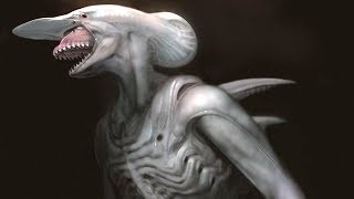 10 More Exotic Xenomorphs [upl. by Ahcsap]