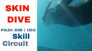 PADI Skill Circuit  Skin Dive Skill PADI IDC amp Divemaster Skills Circuit [upl. by Nahtnamas164]