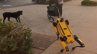 Robot Dog meets Real Dog  Scrappys Adventures [upl. by Eyde]