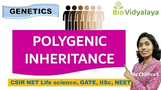 Polygenic Inheritance Human Skin Colour  Quantitative Genetics  CSIR NET  GATEXL  Class 12 [upl. by Tran884]