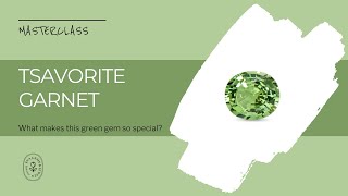 What Makes a Tsavorite Garnet Gemstone So Special [upl. by Gabrielli]