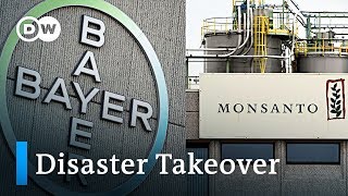 Bayers acquisition of Monsanto is becoming a disaster  DW News [upl. by Nedyarb]