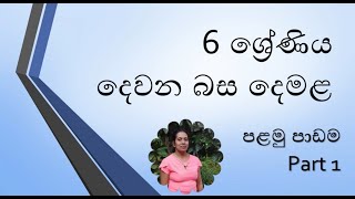 grade 6 tamil lesson part 1 [upl. by Yttel]