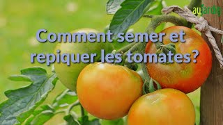 Comment SEMER et REPIQUER les TOMATES [upl. by Koehler]