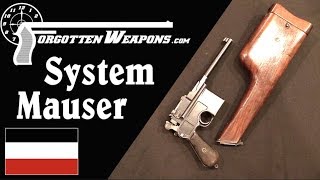 quotSystem Mauserquot  The Very First C96 Pistols [upl. by Rodl]