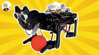 Freenove Robot Dog Kit for Raspberry Pi  Unboxing amp Assembly [upl. by Zehe]