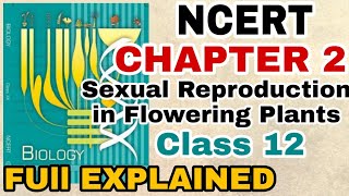 NCERT Ch2 Sexual Reproduction in Flowering plants class 12 Biology Full Explanation For BOARDSNEET [upl. by Howell622]