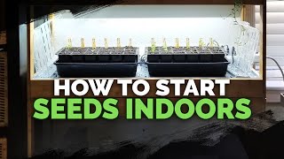 Seed Starting Indoors Under Grow Lights 101 [upl. by Kristal417]