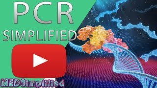 PCR  Polymerase Chain Reaction Simplified [upl. by Elmina]