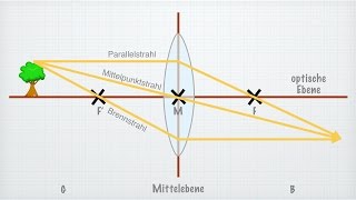 Linsen in der Optik [upl. by Aven]