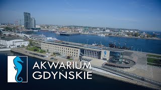 AKWARIUM GDYŃSKIE👌🇵🇱 [upl. by Bear]