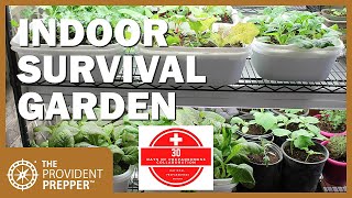 How to Grow an Indoor Survival Garden [upl. by Arreyt]