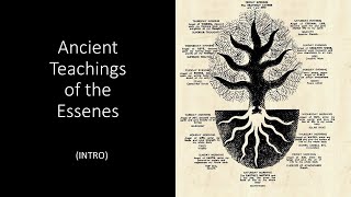 Ancient Teachings of the Essenes INTRO [upl. by Anaehr268]