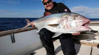 Angeln im Mittelmeer Auf Amberjack in der Kroatischen Adria [upl. by Doley]