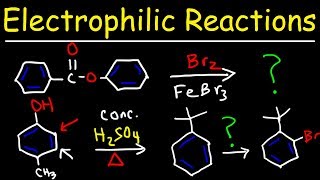 Electrophilic Aromatic Substitution Reactions Made Easy [upl. by Mayce]