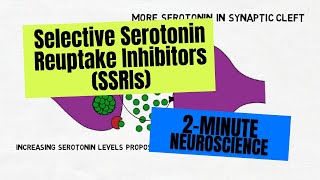 Enzyme Examples CofactorsCoenzymes Inhibitors and Feedback Inhibition [upl. by Aderb239]