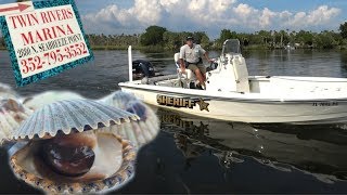 Scalloping in Crystal River [upl. by Naig]