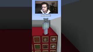 WALLIBEAR TAKES ON MOB ARENA gaming ⁠youtube funny minecraft memes tiktok shorts ytshorts [upl. by Sualohcin227]