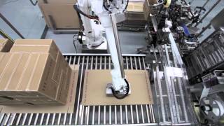 Robotic Case Packer and Palletiser [upl. by Anik125]