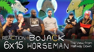 Bojack Horseman  6x15 The View From Halfway Down  Group Reaction [upl. by Einniw244]