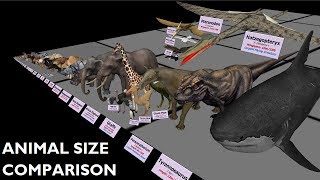 Animal Size Comparison 3D [upl. by Henri]