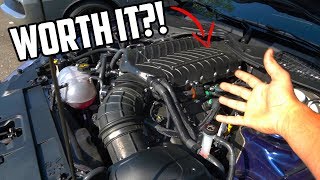 Whipple Supercharged Mustang GT 6 month update [upl. by Yazbak]