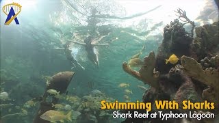 Swimming with sharks inside Shark Reef at Disneys Typhoon Lagoon Water Park [upl. by Laamak514]