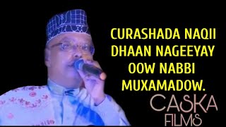 OMAR ADEN 2020  QASAAID CUSUB  NABBI MUXAMADOW [upl. by Nrubliw]