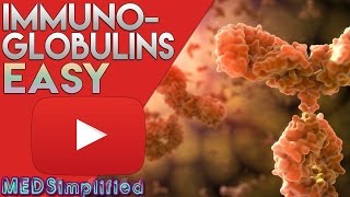 Immunoglobulins Structure and Function Antibody Structure Types and Function [upl. by Ahsilak387]