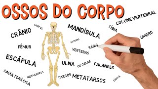 ✅ OSSOS DO CORPO  ESQUELETO HUMANO [upl. by Notlaw]