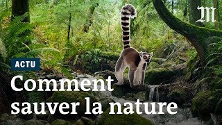 Quelles solutions resteil pour sauver la biodiversité [upl. by Vtehsta751]