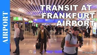 TRANSIT WALK AT FRANKFURT Airport FRA Terminal 1  Connection Flight Transfer Arriving amp Departing [upl. by Roe]